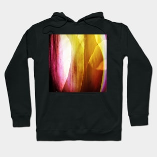 Tender tulip petals | Abstract Hoodie